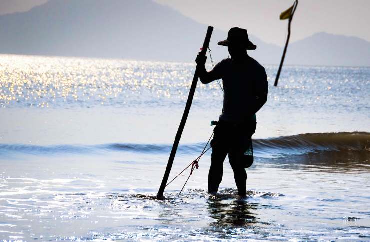 pesca