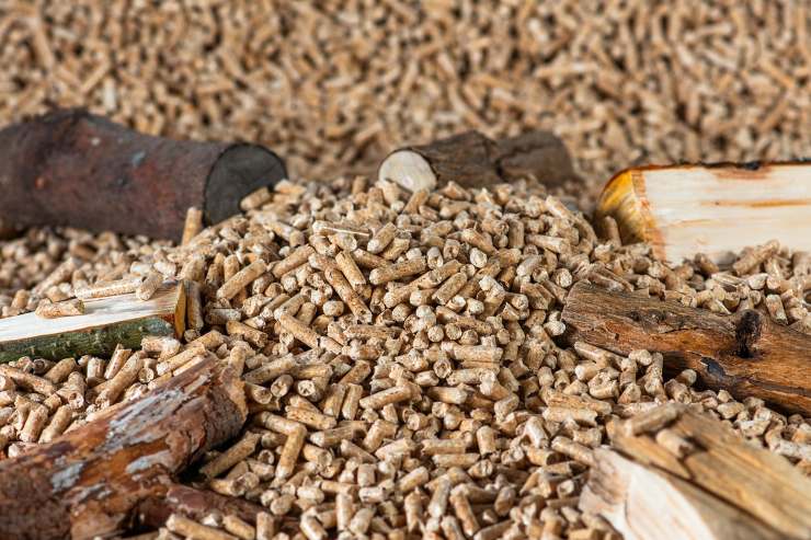 pellet